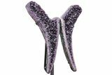 Amethyst Geode Wings on Metal Stand - Exceptional Quality Crystals #209260-5